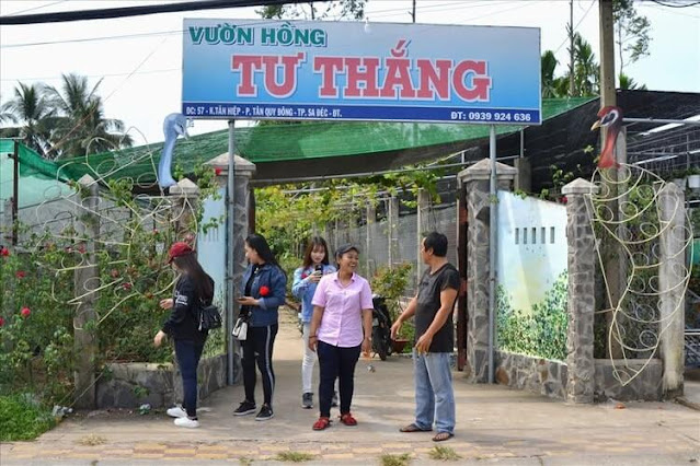 Vườn hồng Tư Thắng tại làng hoa Sa Đéc