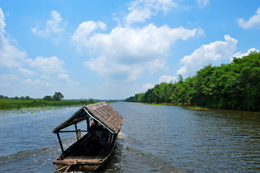 Vườn quốc gia Tràm Chim