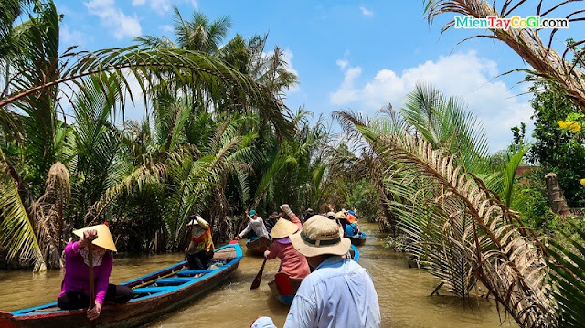 Chèo xuồng tại khu du lịch cồn thới sơn